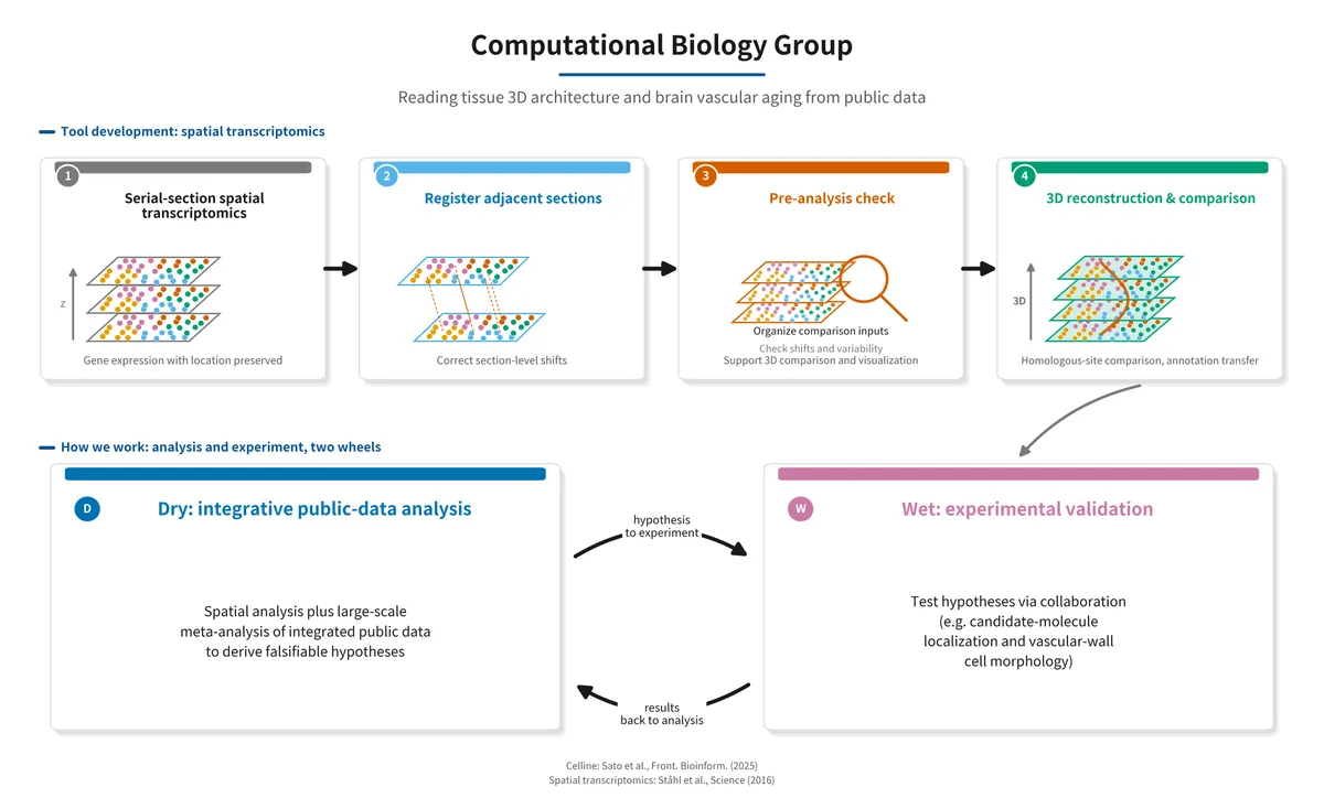 Overview of the Computational Biology Group