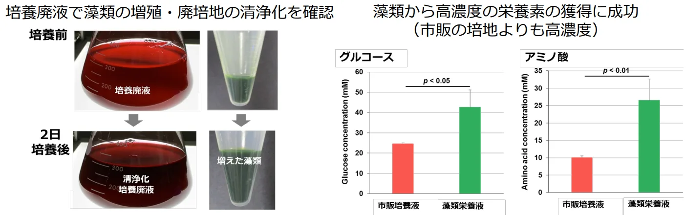 図2 サーキュラーセルカルチャーシステム(CCC)の研究成果